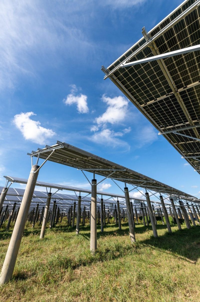 Angus Bau | PV-Anlange, Photovoltaik, Photovoltaikanlage im Waldviertel | Gmünd, Waidhofen, Zwettl, Horn