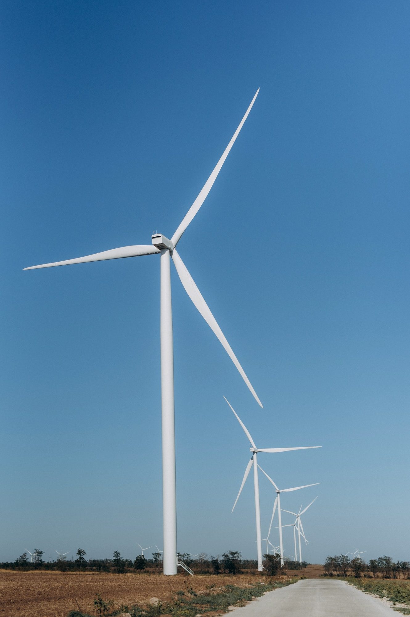 Angus Bau | Windkraft, Windrad im Waldviertel | Gmünd, Waidhofen, Zwettl, Horn